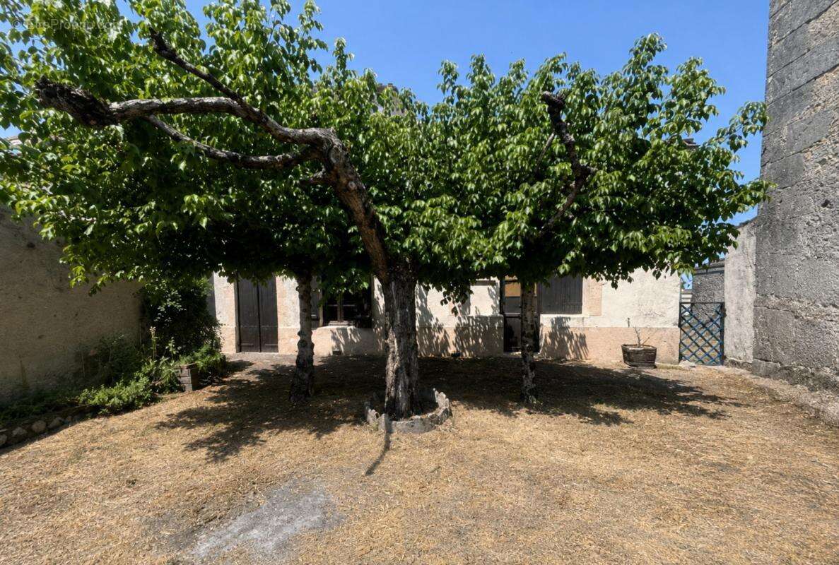Moulis-en-médoc – maison de charme à rénover, 115 m², jardin et grands espaces annexes - photo 2