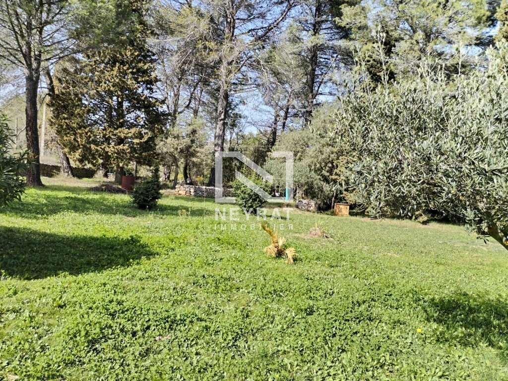 Mas en pierre a fayence var - magnifique jardin 3500m²  avec piscine - bassin et forage - photo 5