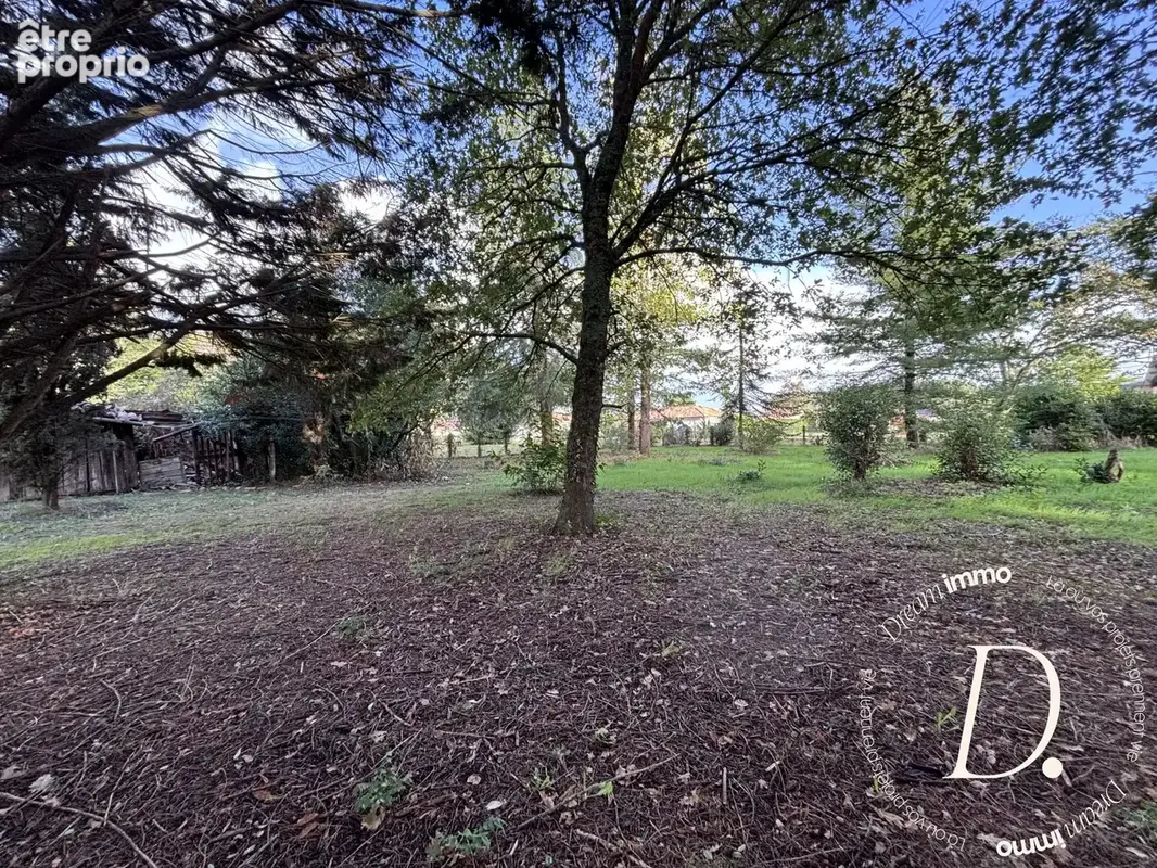 Terrain 2 500 m² à vendre à Taller (40260) - photo 3