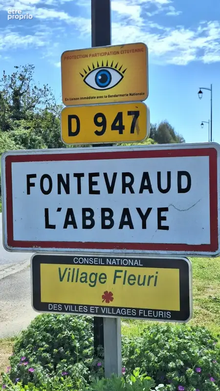 Saumur/chinon - photo 3