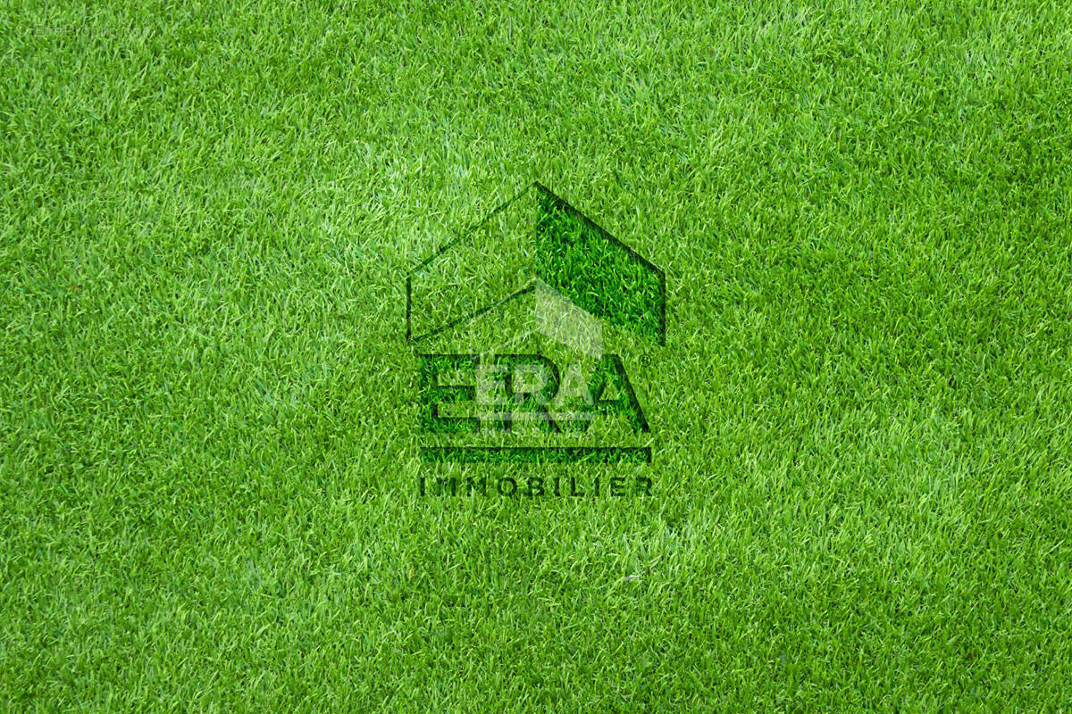 Terrain à FAY-LES-NEMOURS