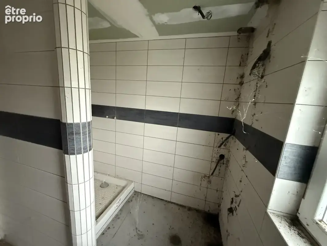 Scpecial investisseur - photo 11