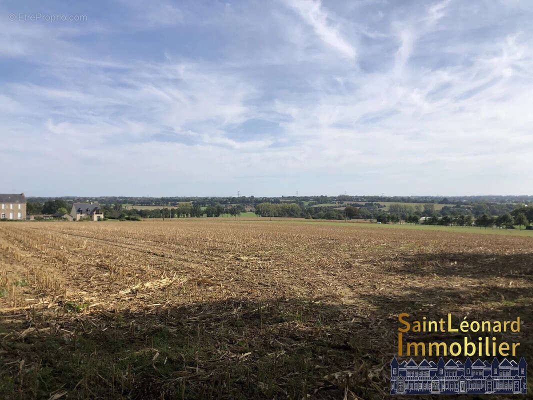 Terrain à LA CHAPELLE-SAINT-AUBERT
