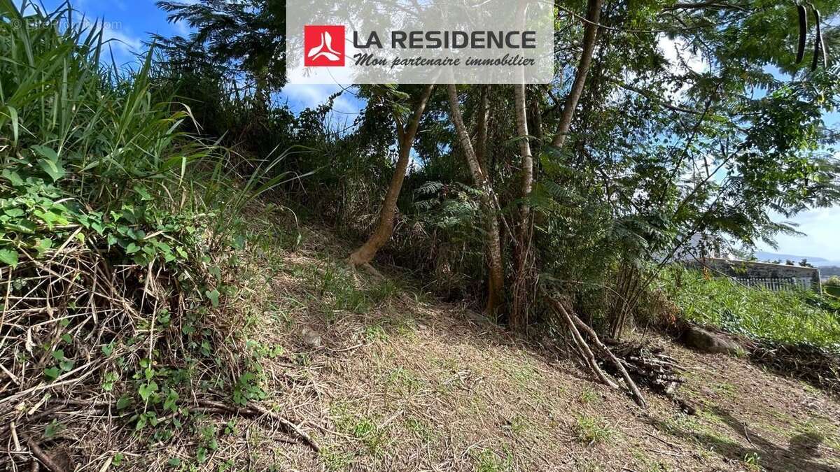 Terrain à FORT-DE-FRANCE