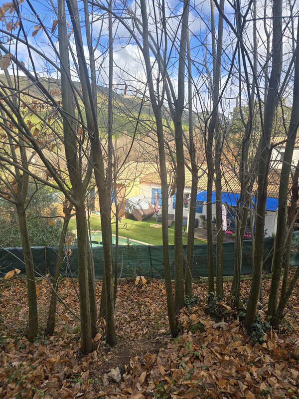 Maison à SAINTE-ANASTASIE-SUR-ISSOLE