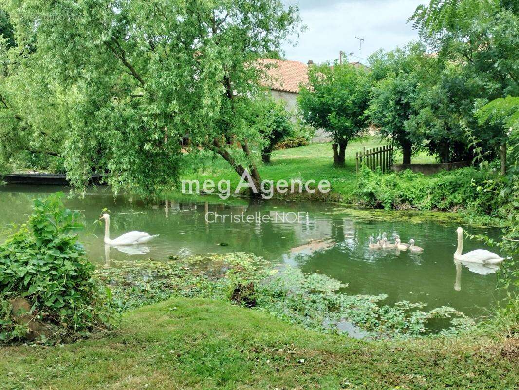 Maison à LA TAILLEE