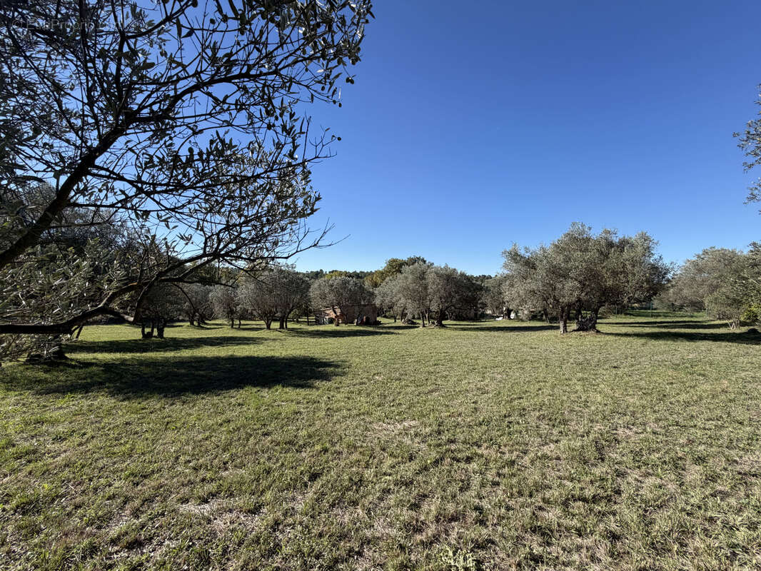 Terrain à MOISSAC-BELLEVUE