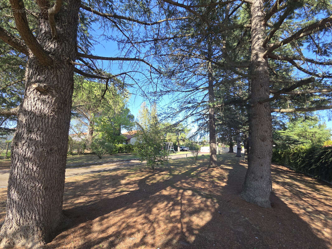 Maison à CASTELGINEST
