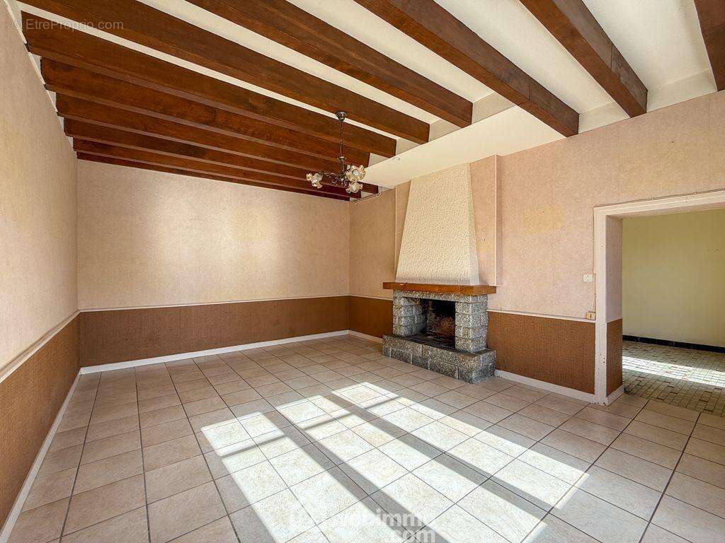 Un séjour-salon lumineux avec cheminée, - Maison à POUZAUGES