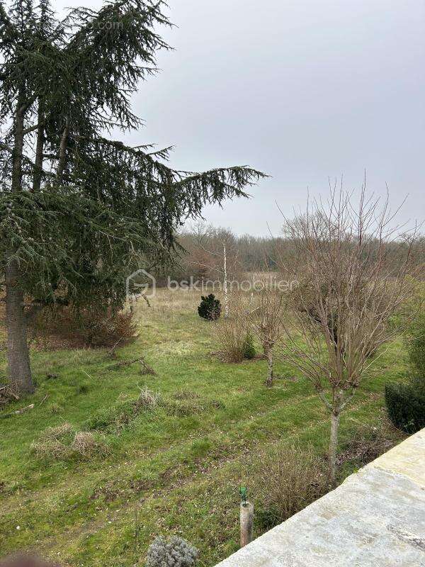 Charmante maison en campagne à Veuves – L'élégance tranquille au cœur de la nature - photo 2