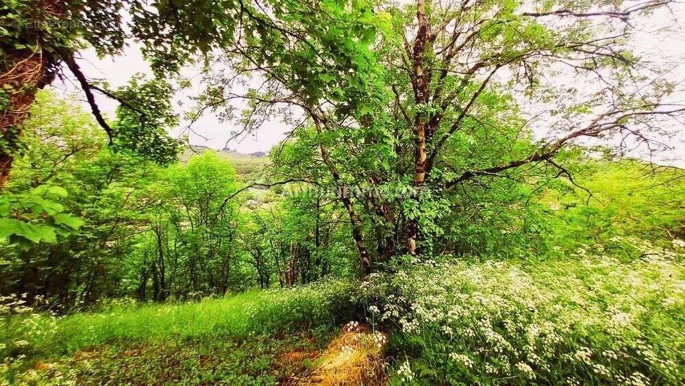 Vente Maison Labastide-rouairoux(81270) 119 000ï¿œ - photo 5
