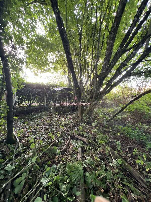 Maison à LOURDOUEIX-SAINT-MICHEL