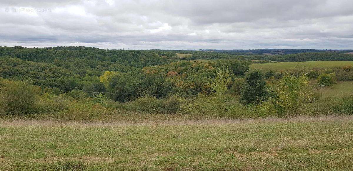 Terrain à ORDAN-LARROQUE