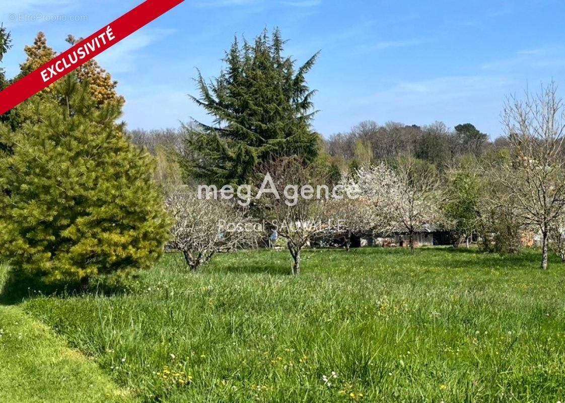 Terrain à MENSIGNAC