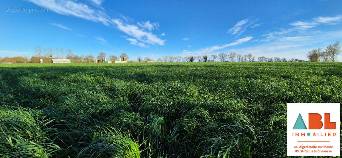 Maison à LES BROUZILS