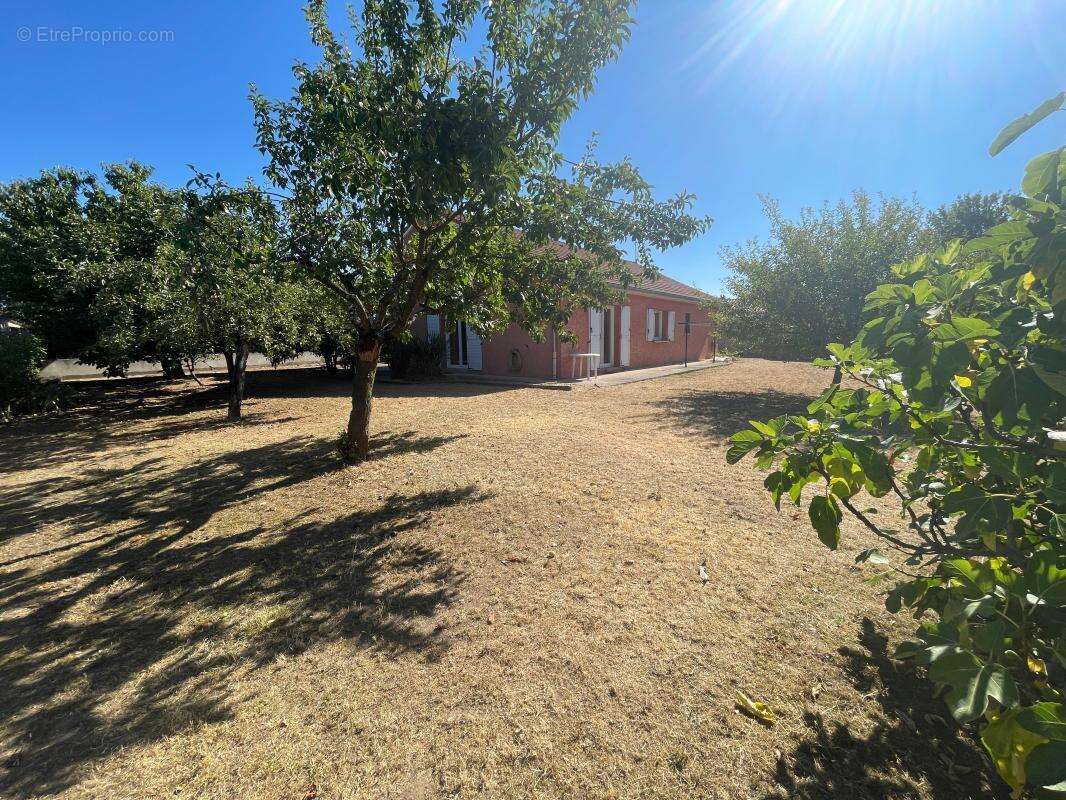 Maison À Vendre - photo 14