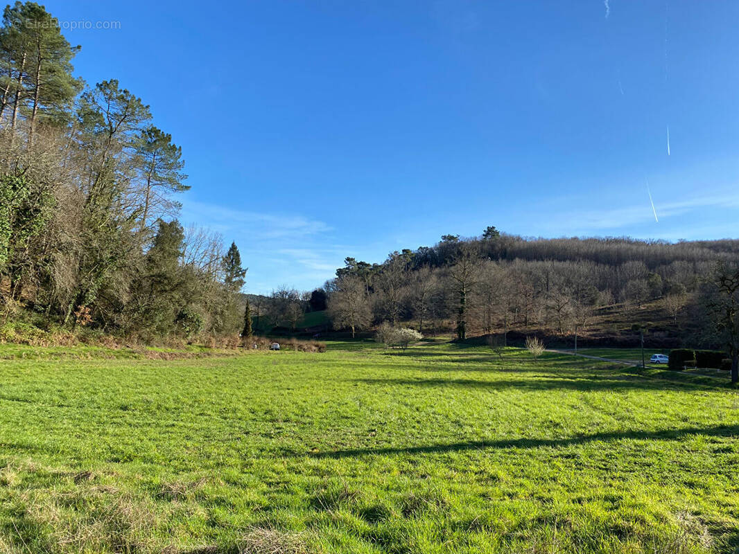 Terrain à SAINT-VINCENT-LE-PALUEL