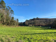 Terrain à SAINT-VINCENT-LE-PALUEL