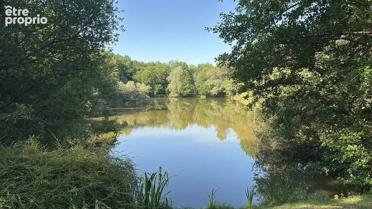 Magnifique étang avec maisonnette aux portes de Chenonceaux - photo 2