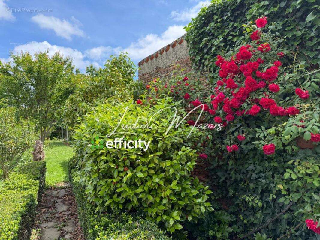 Maison 126 m² à Castelsarrasin  - photo 20