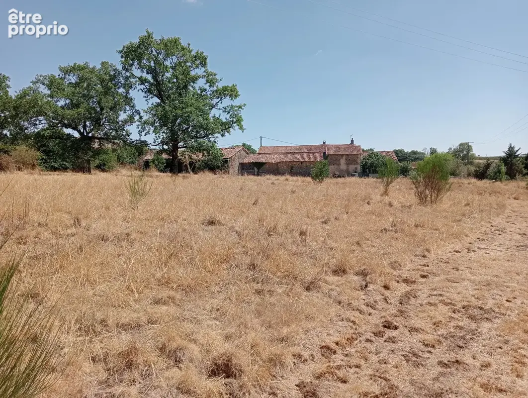 Ferme rénovée avec 4ha - photo 5