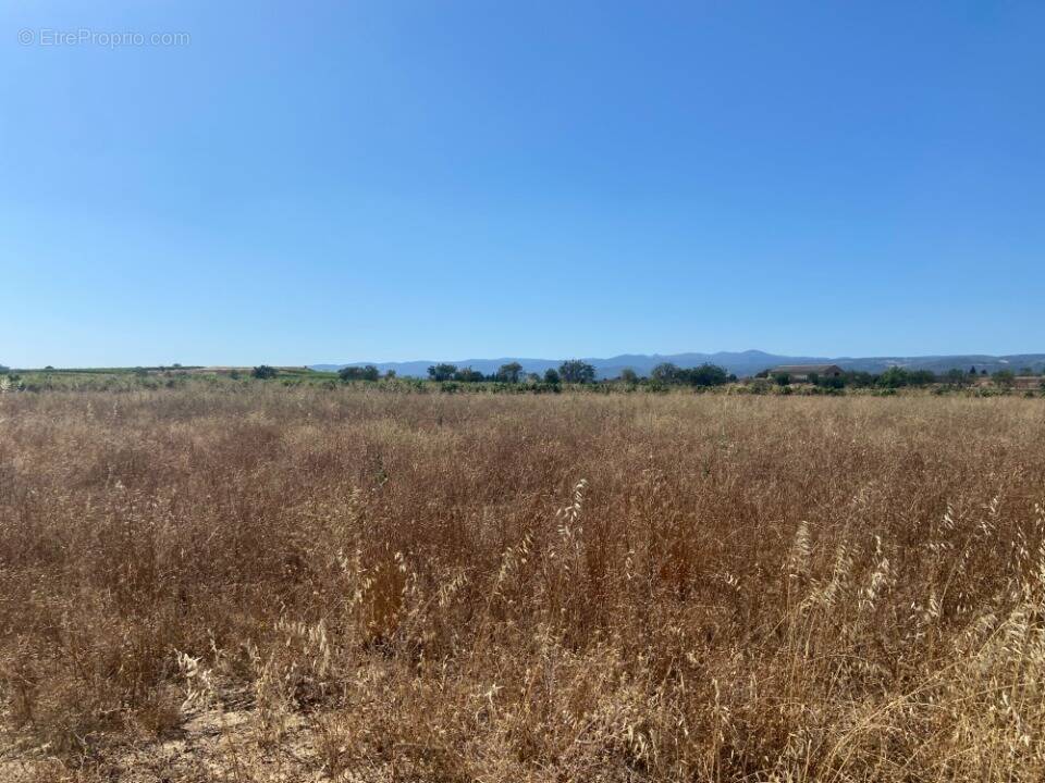 Terrain à OLONZAC