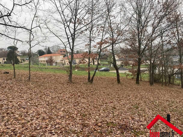 Terrain à LA FEUILLADE