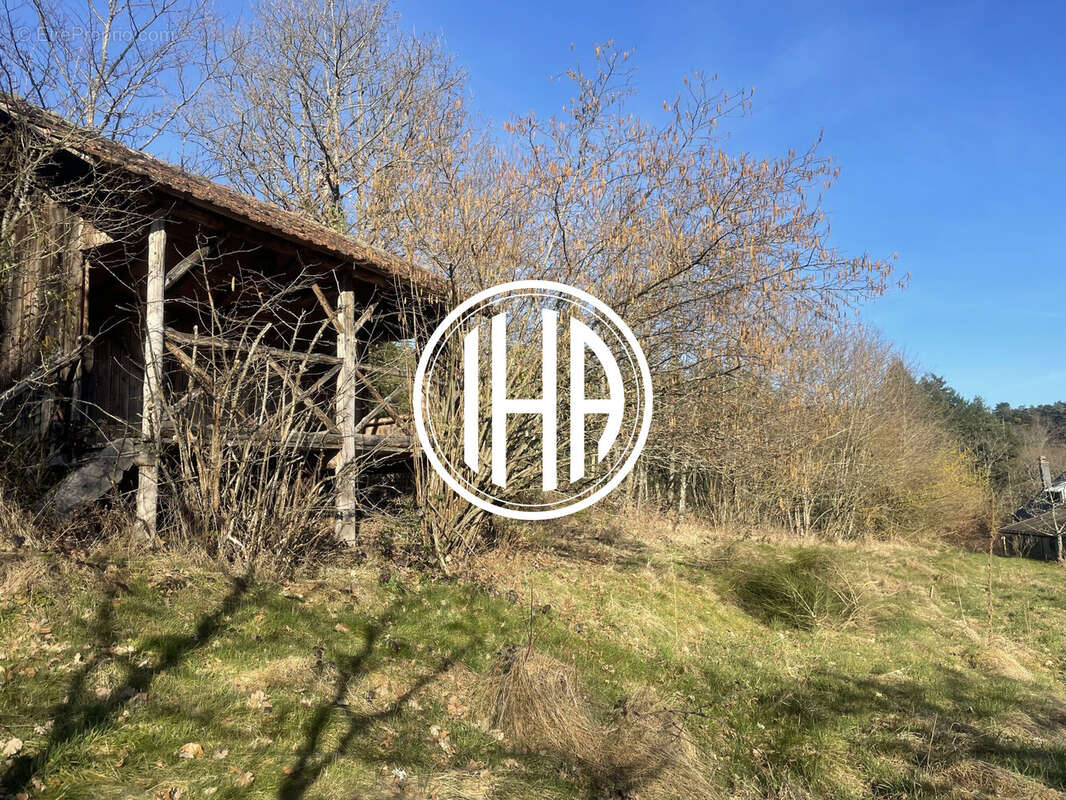 Terrain à THANNENKIRCH