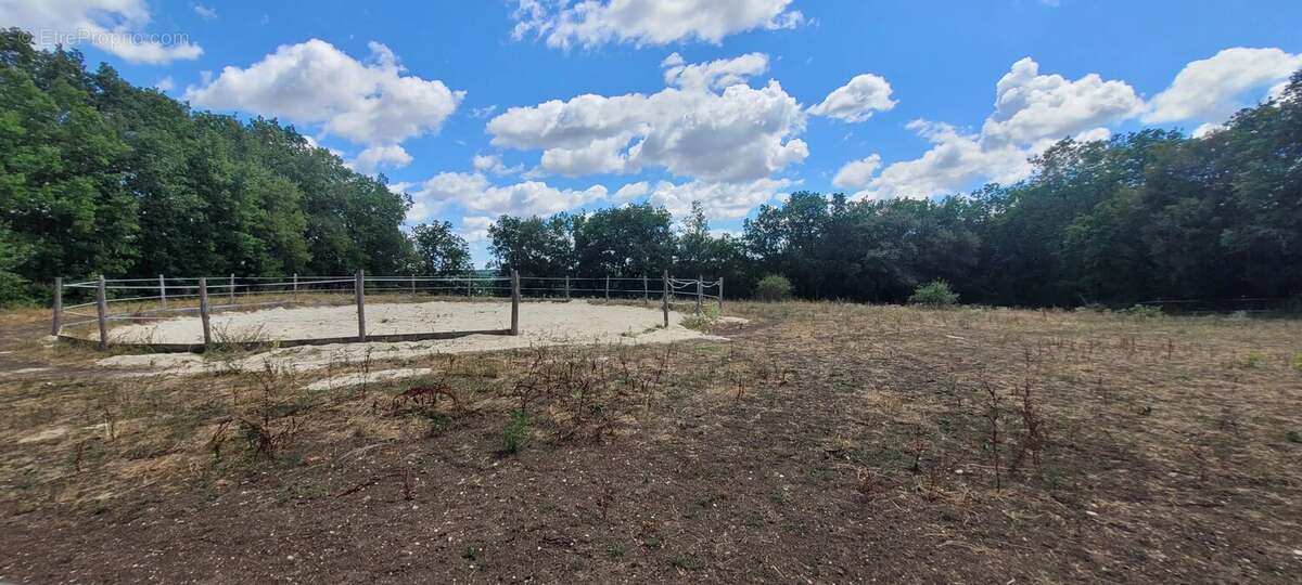 Propriété isolée avec 2 gîtes et piscine sur plus de 4 hectares - photo 22