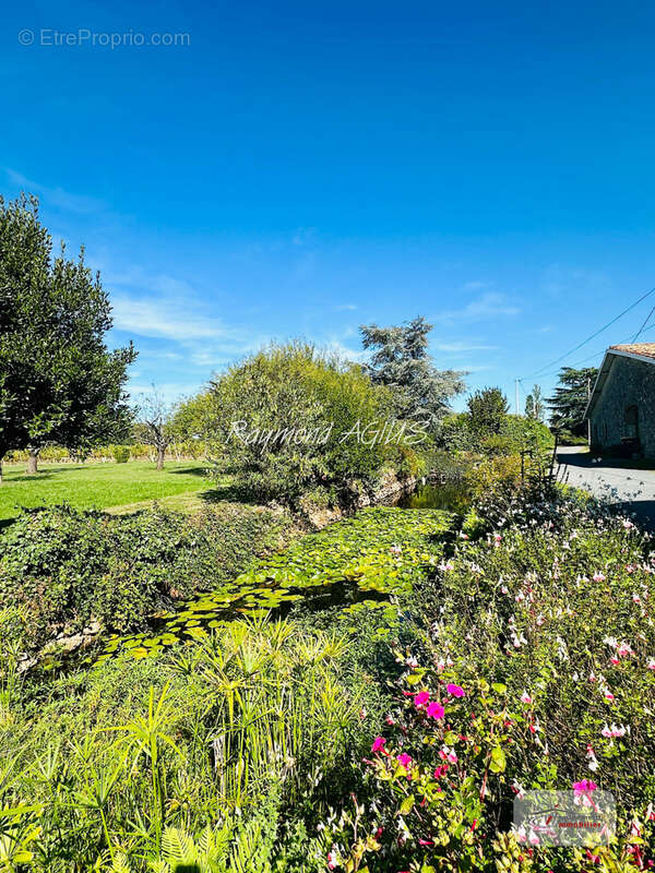 Maison à SAINT-EMILION