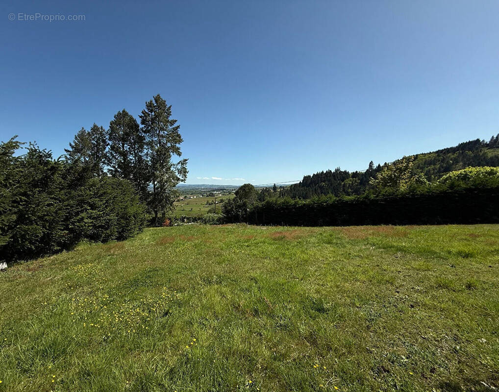 Terrain à SAINT-ANDRE-D'APCHON