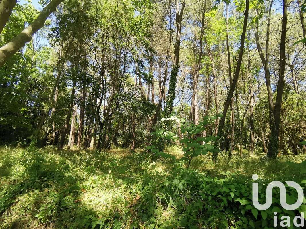 Photo 3 - Terrain à CENNE-MONESTIES