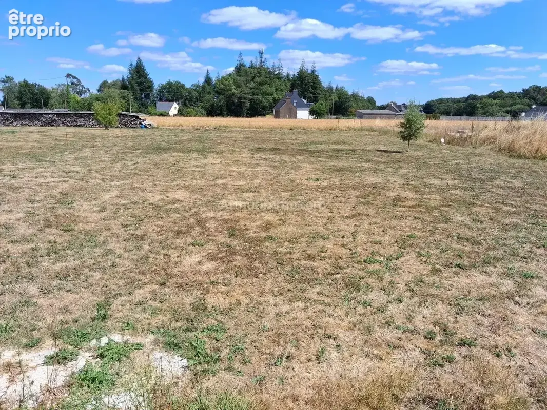 Vente Terrain Camors(56330) 76 680ï¿œ - photo 2