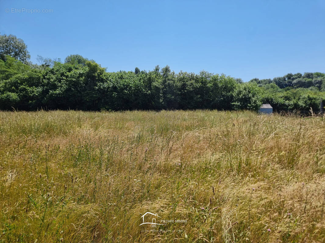 Terrain à SANXAY