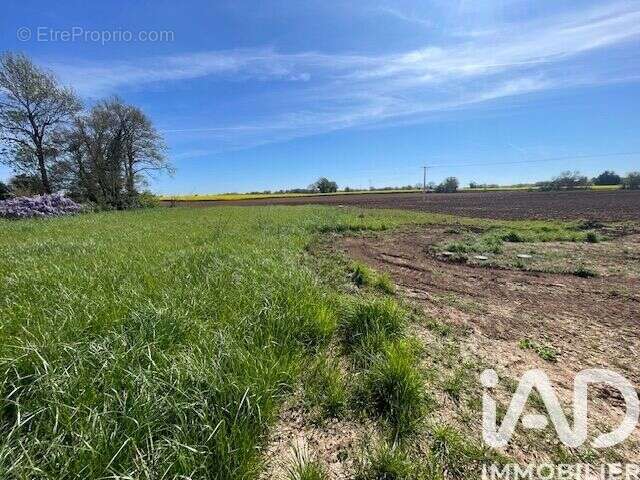 Photo 3 - Terrain à NIEUL-LES-SAINTES
