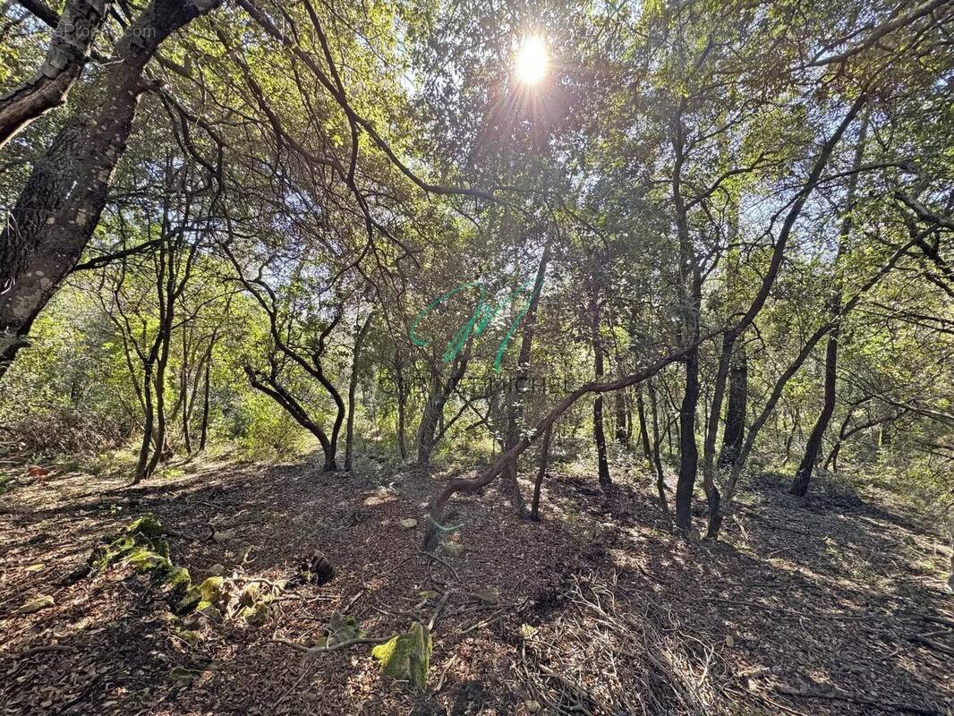 Terrain à LE ROURET