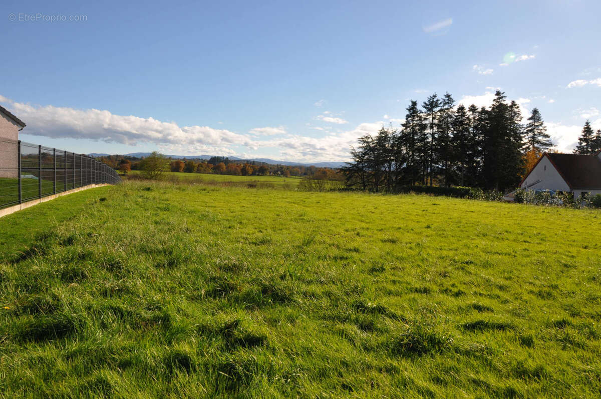 Terrain à LAPALISSE