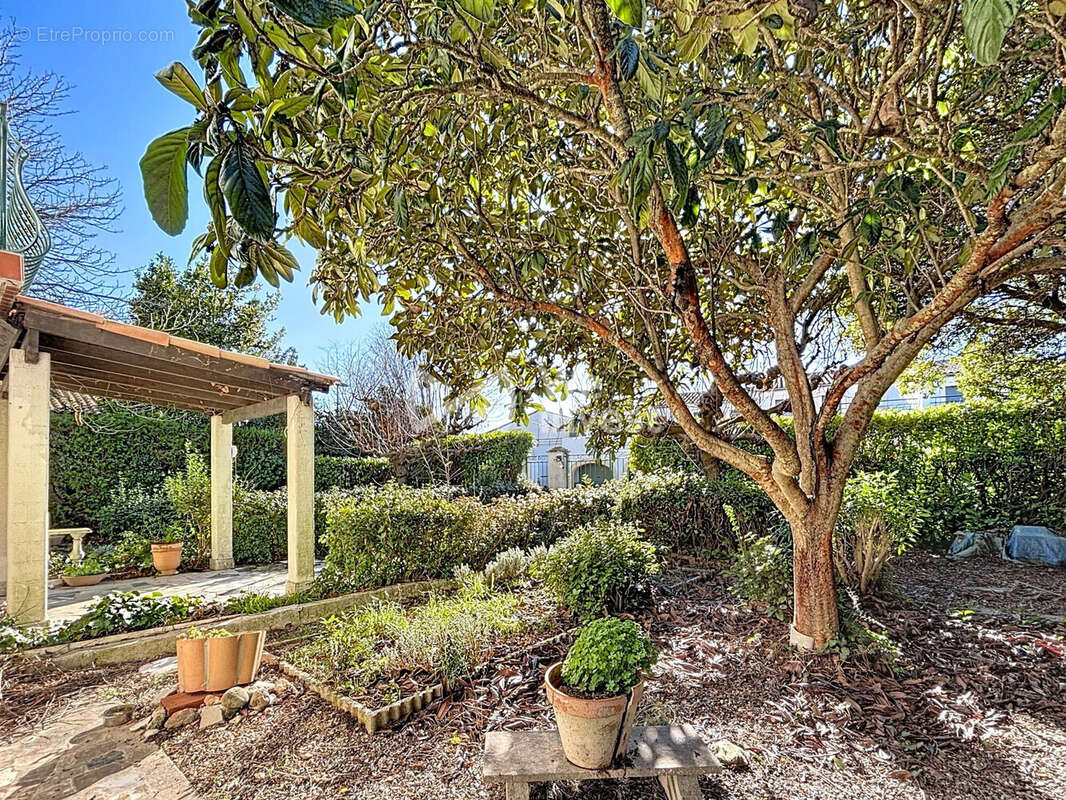 Maison à SAINT-GEORGES-D'ORQUES