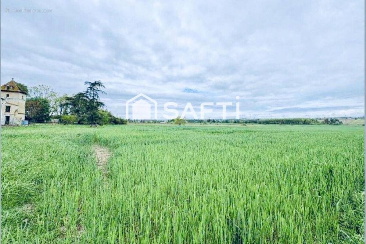 Photo 1 - Terrain à MONTBERON