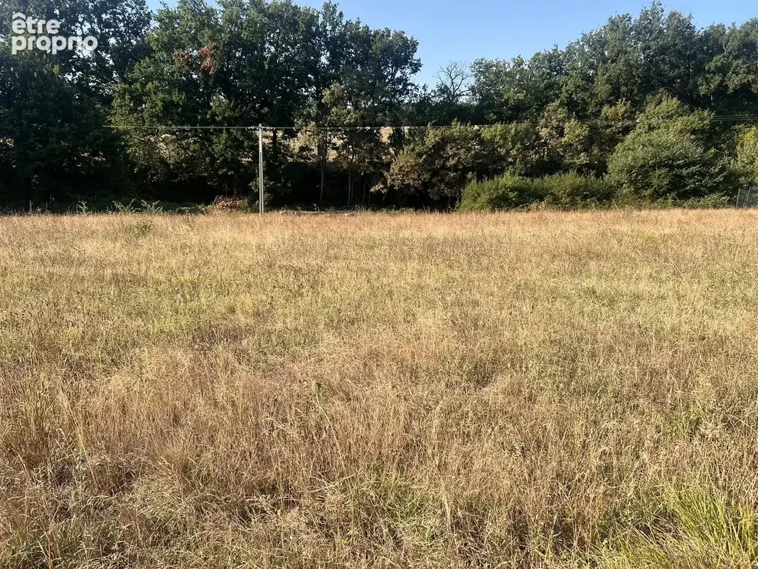 Terrain de 2736 m2 gimont - photo 6
