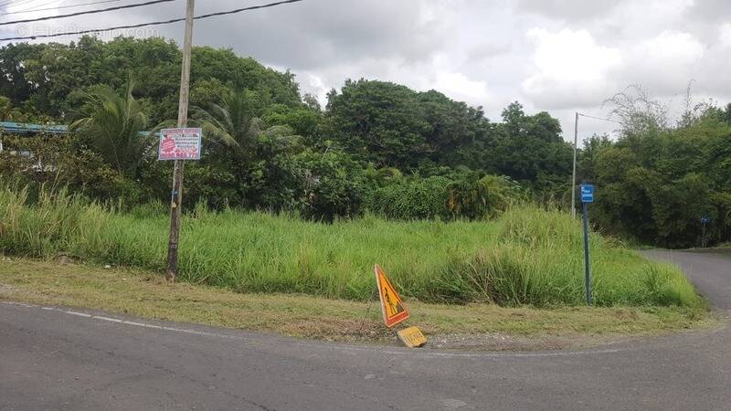Terrain à SAINTE-ANNE