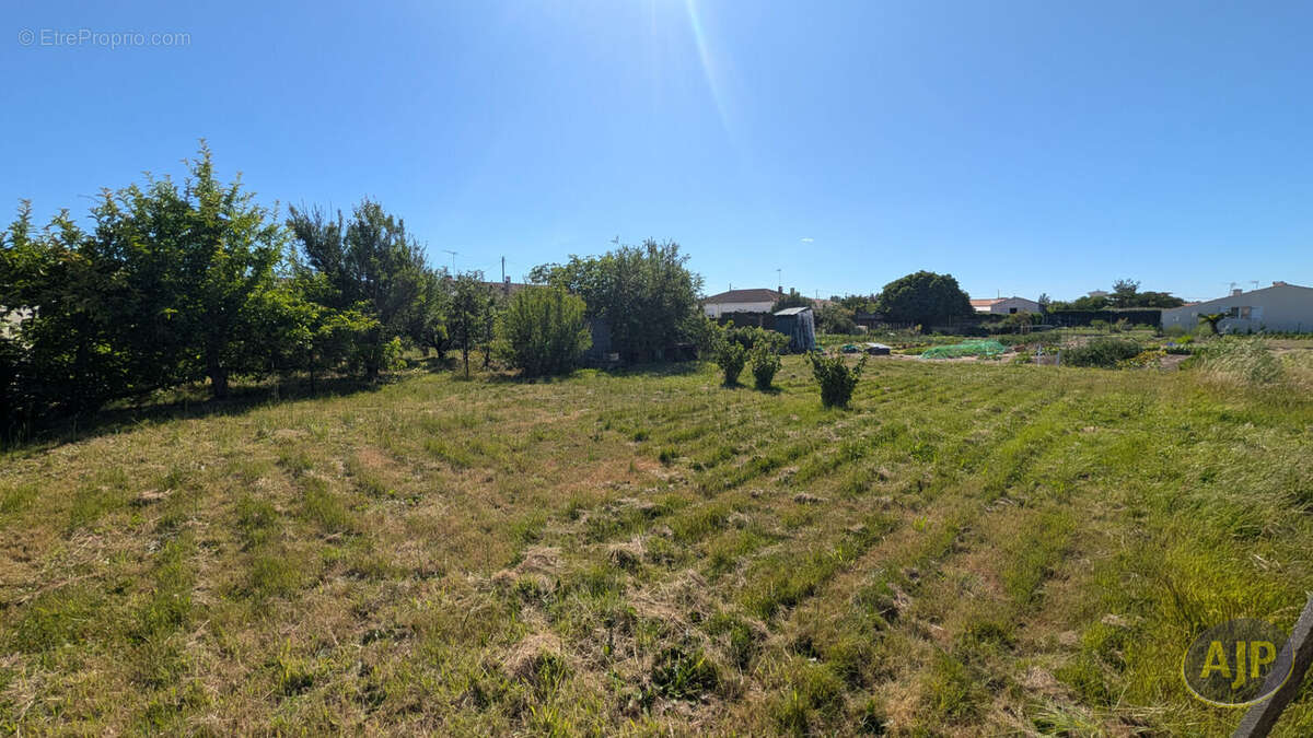 Terrain à L'AIGUILLON-SUR-MER