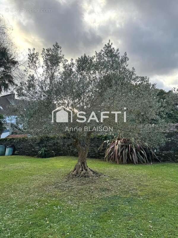 Photo 7 - Maison à CHERBOURG-OCTEVILLE