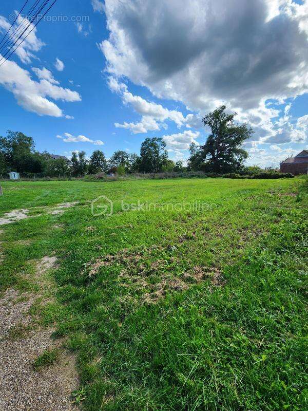 Terrain 1268 m² à Butteaux  - photo 4