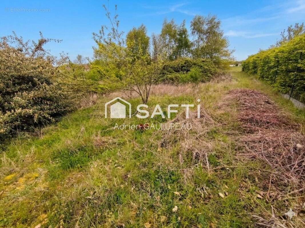 Photo 3 - Terrain à CONDE-SUR-VESGRE