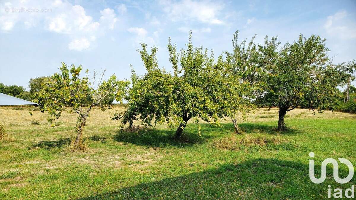 Photo 8 - Maison à SAINT-SAUVIER