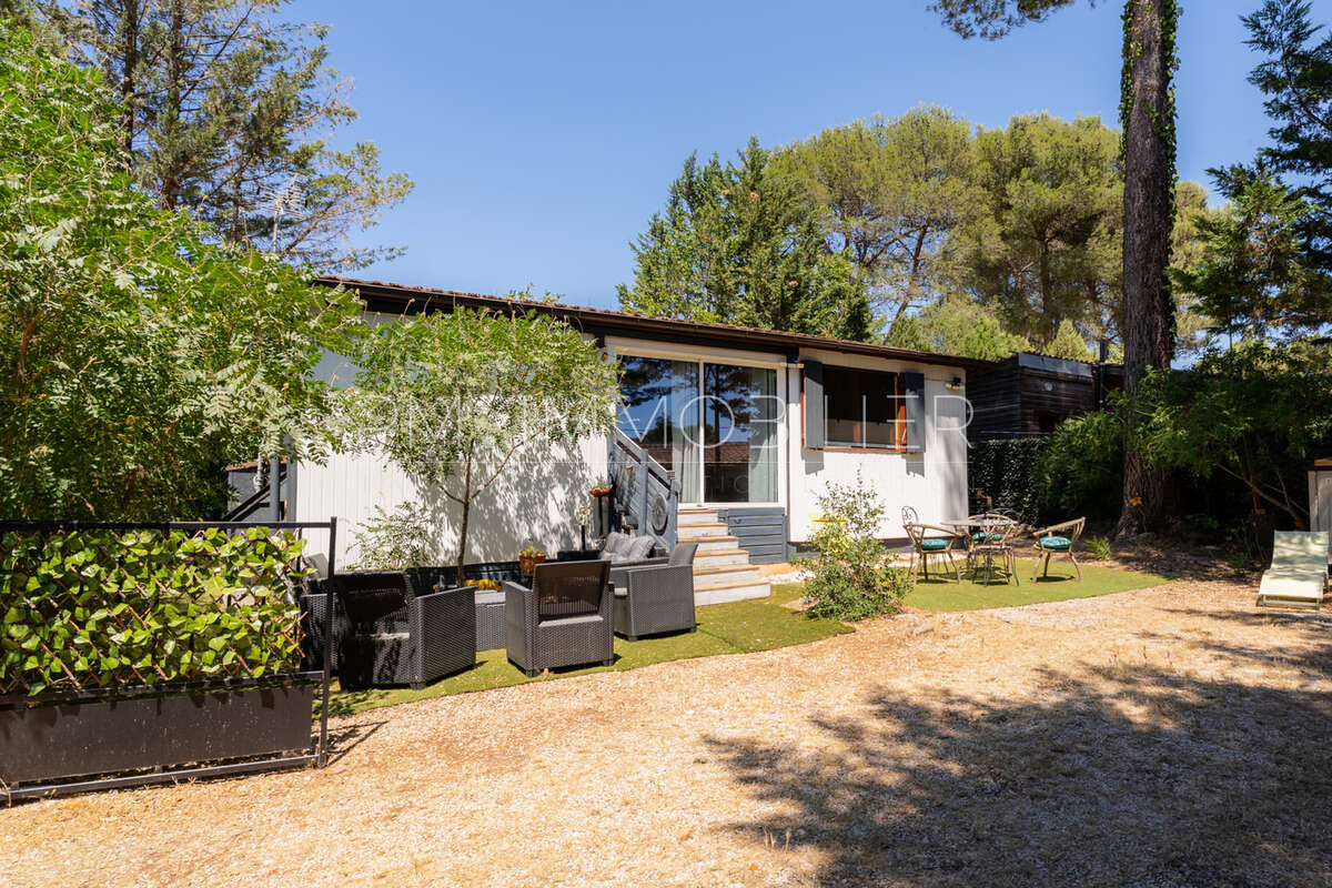 Sous les pins - photo 3