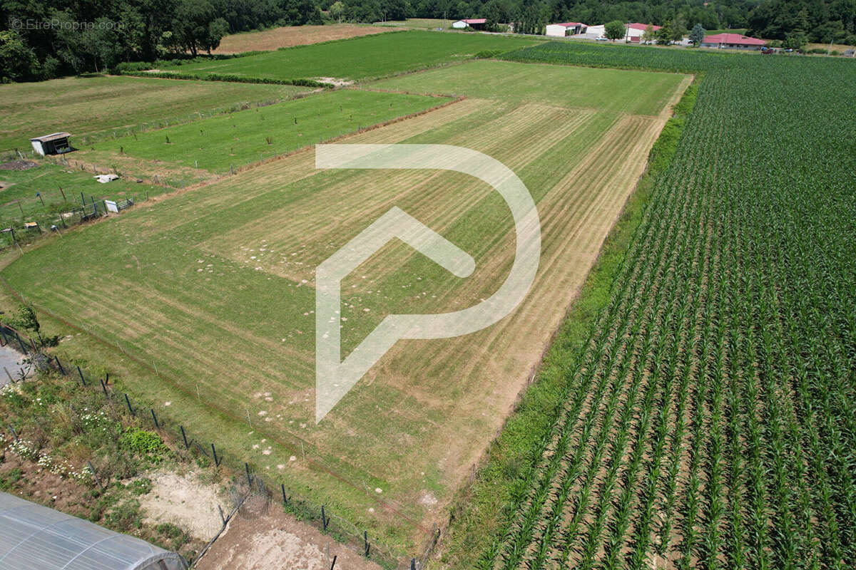 Très belle propriété sur 1,8 hectare attenant. - photo 18