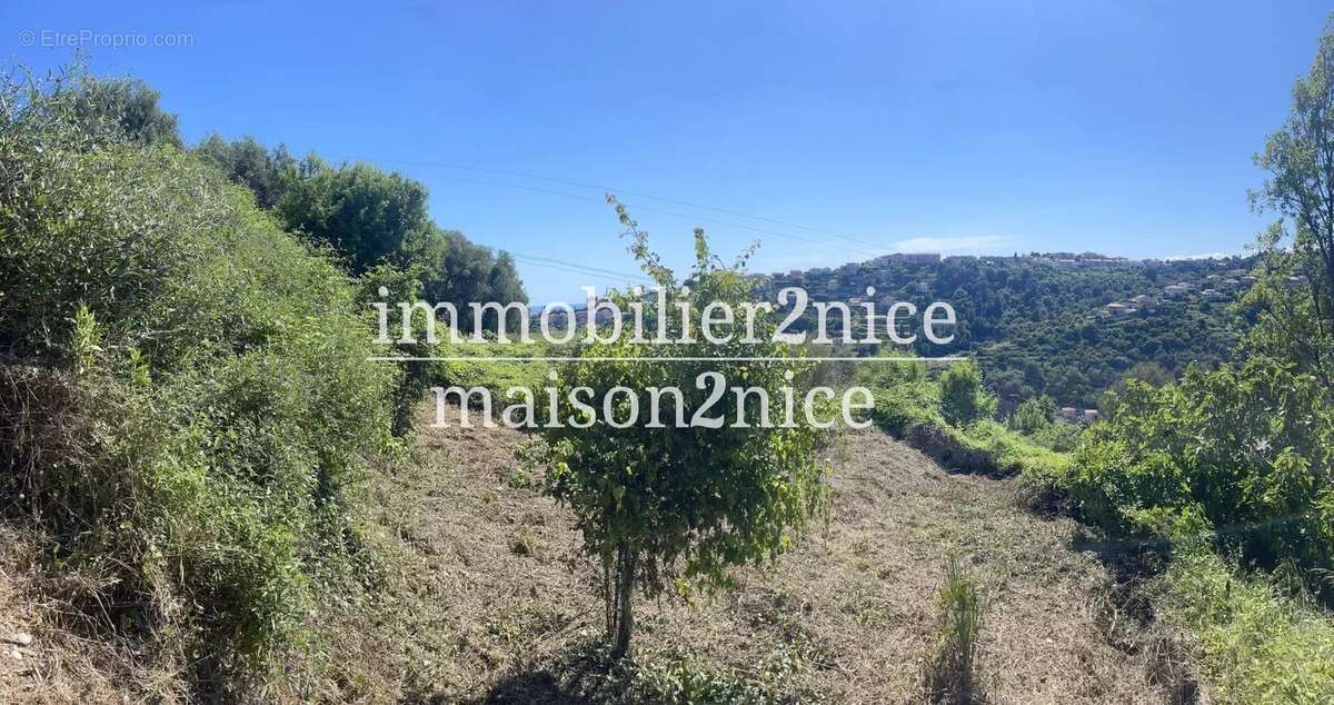 Terrain à NICE