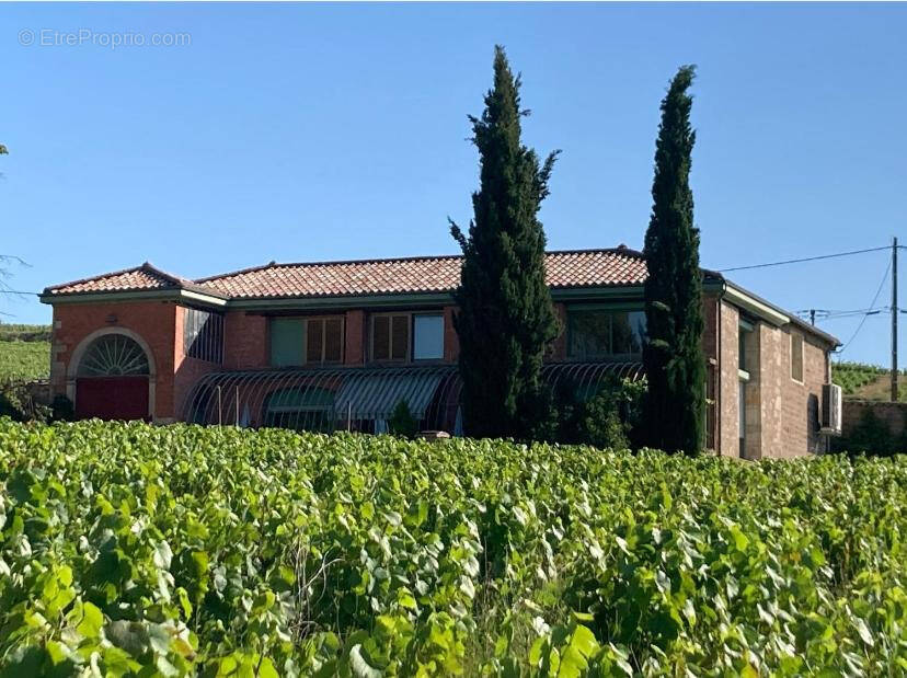 Maison à FLEURIE